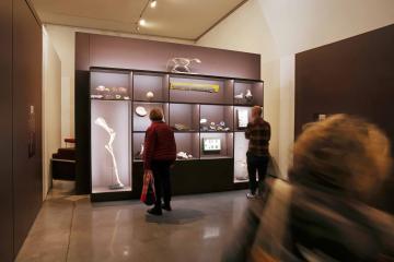 Exposition "Quelle histoire ! 200 ans de collections" au musée Toulouse-Lautrec