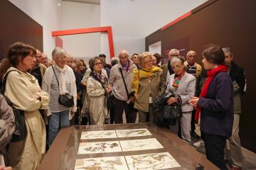 Exposition "Quelle histoire ! 200 ans de collections" au musée Toulouse-Lautrec
