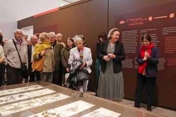 Exposition "Quelle histoire ! 200 ans de collections" au musée Toulouse-Lautrec