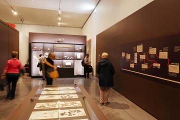 Exposition "Quelle histoire ! 200 ans de collections" au musée Toulouse-Lautrec