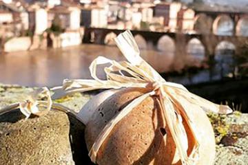 Albi insta, les comptes qui ont retenu notre attention