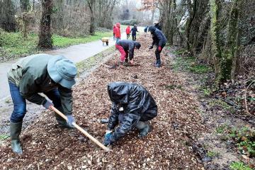 Plantations et entretien des espaces de nature