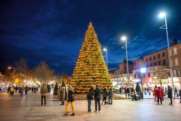 Le Sapin géant du Vigan et les décorations végétales