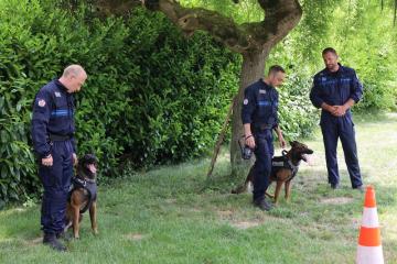 La Brigade canine municipale d'Albi