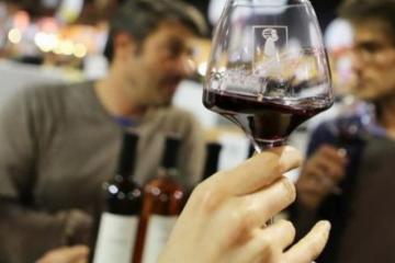 Albi, place(s) aux vignerons