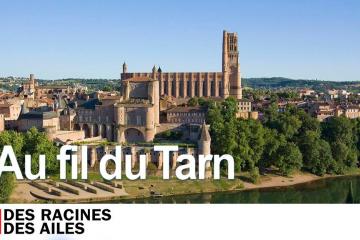 Des racines et des ailes