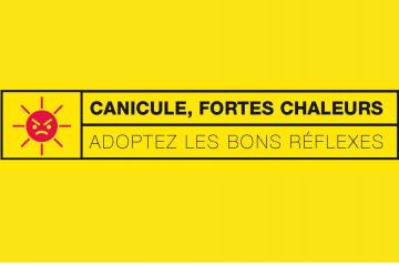 Conseils pour affronter la canicule