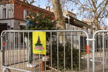 Collecte sapins