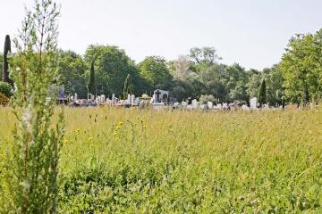 Cimtière des Planques