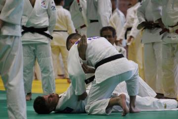 Stage international de kata à Albi 