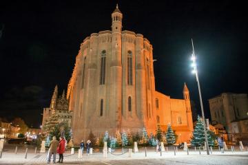 Noël, les premières décorations végétales arrivent
