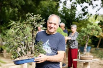 Bonsaï Jean-Marie Couderc 