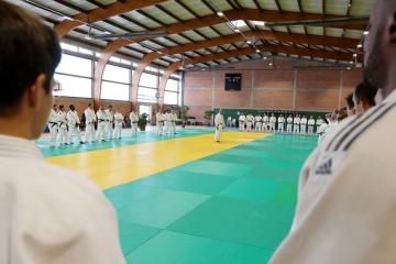 Des sportifs d'ici à l'honneur