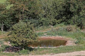 Une mare et un muret pour la biodiversité 