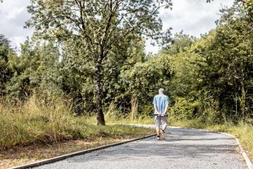 Des idées de sorties pour l'été, promenons nous dans les bois ...