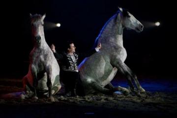 Tous en selle au salon du cheval