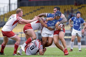 « Albi a des atouts pour accueillir la coupe du monde »
