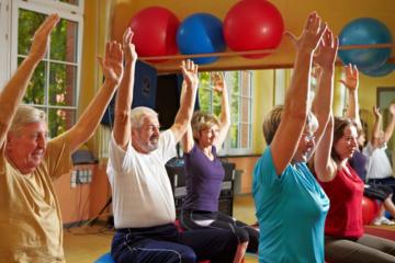 Animation et sport : des formations professionnalisantes à Albi
