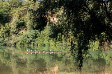 L'aviron albigeois à l'honneur