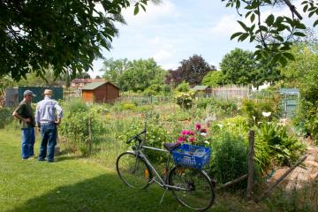 Conventions de financement entre la Ville d’Albi et les partenaires du Projet Alimentaire de l’Albigeois