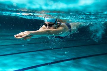 Découvrez les différentes sections de l'Albi Sports Aquatiques