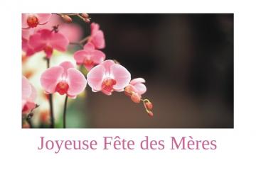 Le Conseil municipal fête les mamans