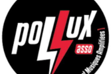 logo pollux asso