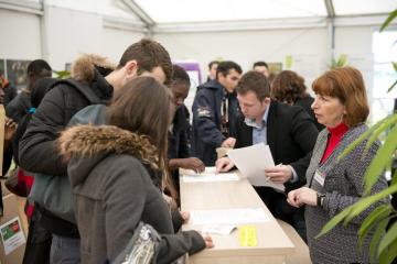 Albi recrutement