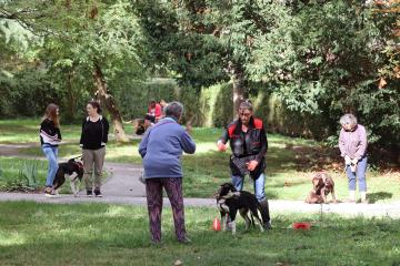 Cours canin