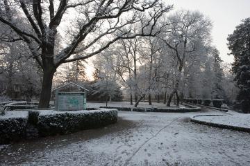 Albi sous son manteau de neige
