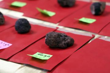 Marché aux truffes 2021