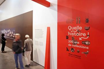 Exposition "Quelle histoire ! 200 ans de collections" au musée Toulouse-Lautrec