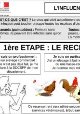 Recensement et confinement des volailles